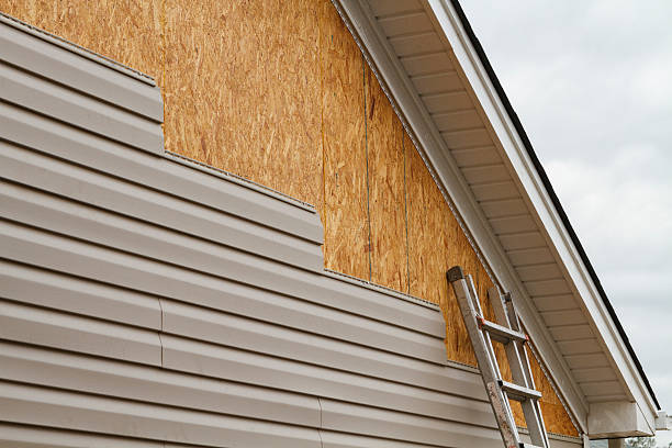 Professional Siding Repair technician working in Huntington, VA